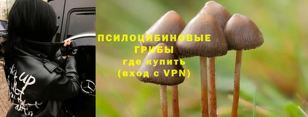 прущая мука Гусь-Хрустальный