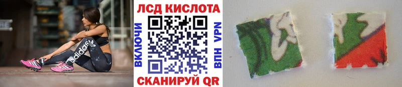 Купить закладки  Ковылкино  Марки NBOMe 1,8мг 