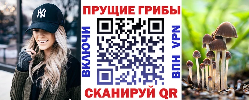Псилоцибиновые грибы прущие грибы  Купить закладки  Ковылкино 